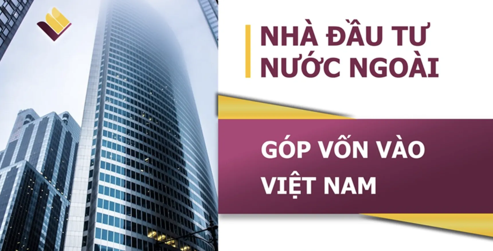 Góp vốn vào công ty Việt Nam